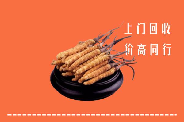 高价求购：安源区回收散虫草