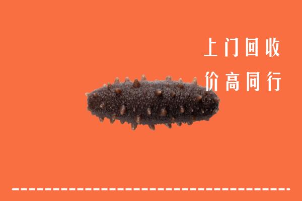高价求购：安源区回收海参