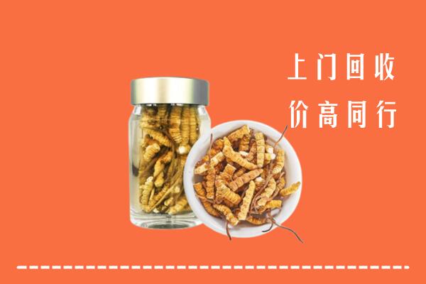 安源区回收冬虫夏草