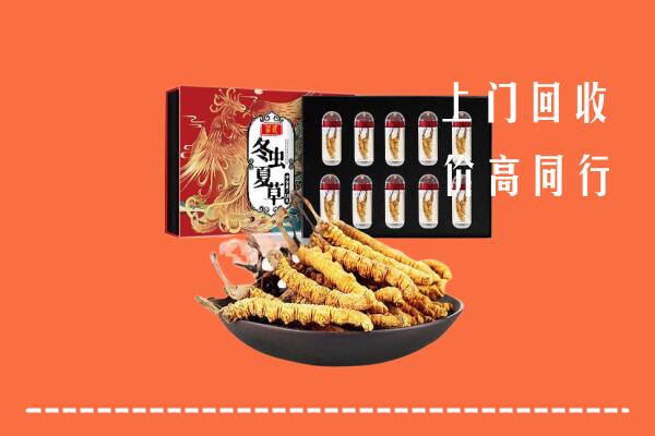 安源区回收虫草